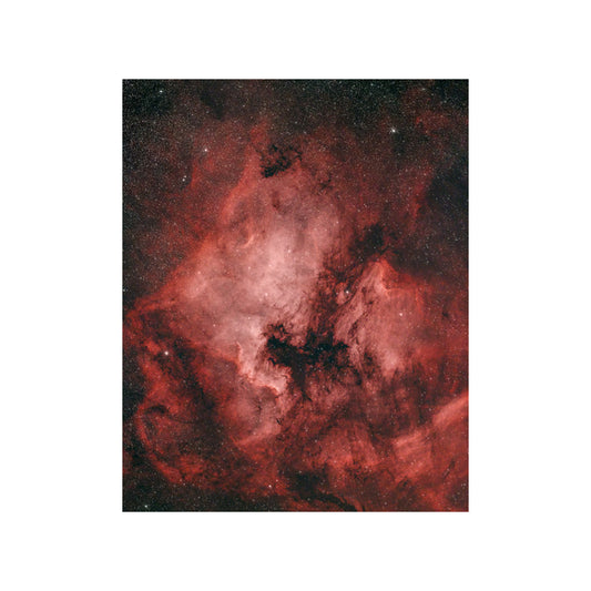 North American and Pelican Nebulae